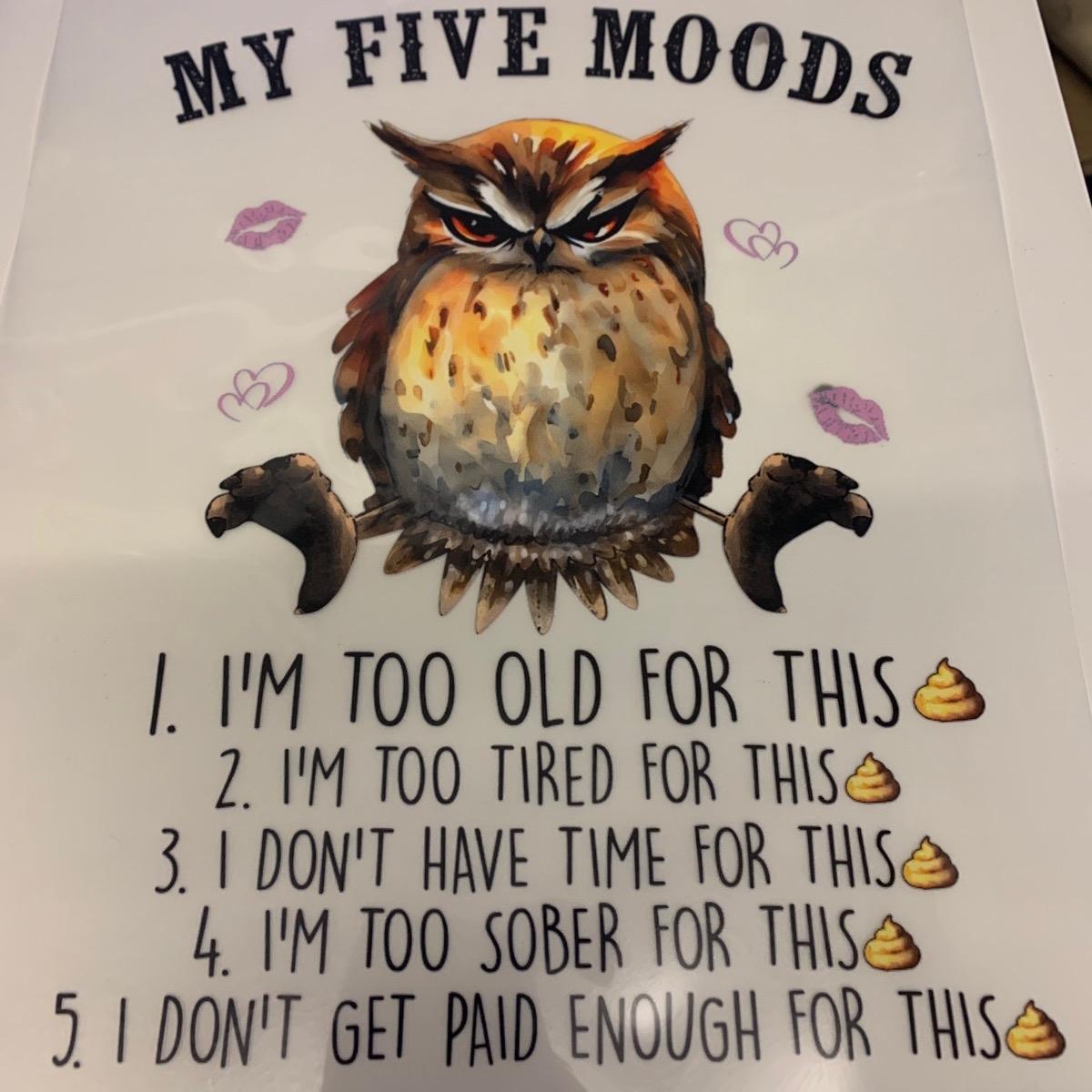 TSHIRT - Funny Joke Sarcastic Owl My Five Moods  Unisex Casual Crew Neck Tshirt 100% Cotton