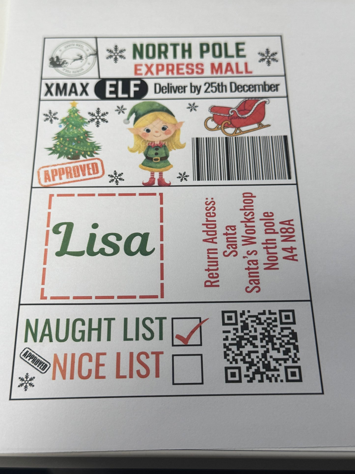 North Pole Express Mall Santa Girl Elf Naughty/Nice Gift Postage Label 4x6 inches pack 10