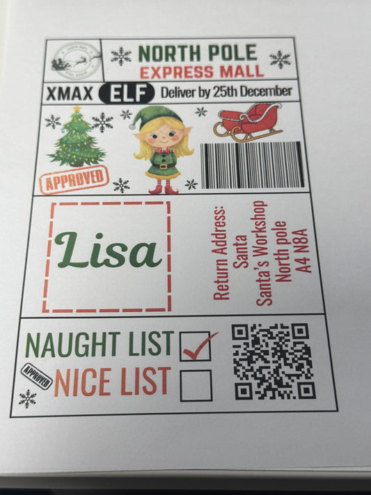 North Pole Express Mall Santa Girl Elf Naughty/Nice Gift Postage Label 4x6 inches pack 10