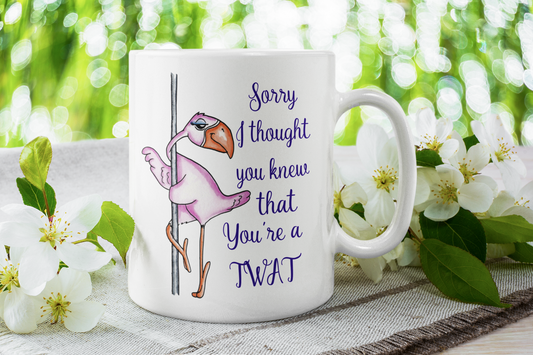 Sorry I Thought You Knew That You're A Twat Cup/Mug